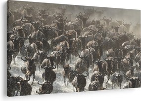 Tablou - Turmă de antilope sălbatice (90x60 cm)