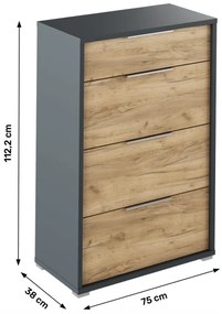 Dulap Birou RIOMA NEW TYP 22 Stejar Artisan/Grafit