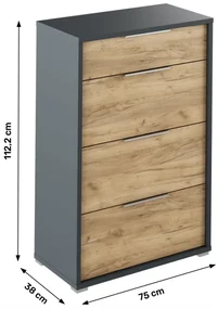 Dulap Birou RIOMA NEW TYP 22 Stejar Artisan/Grafit