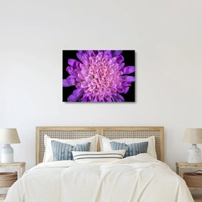 Tablou pe sticlă detailat cu floare (70x50 cm)