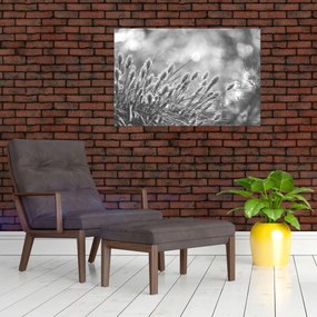 Tablou - Iarbă moale bej N⁰1 (90x60 cm)