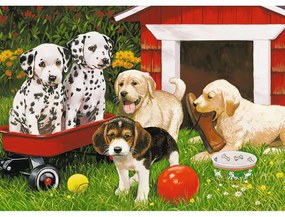 PUZZLE PETRECEREA CATEILOR, 60 PIESE - RAVENSBURGER (RVSPC09526)