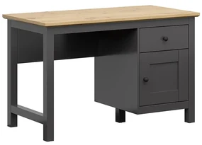Masă PC Hesen BIU1D1S (grafit + Stejar artisan). Promo -18%. 1062503