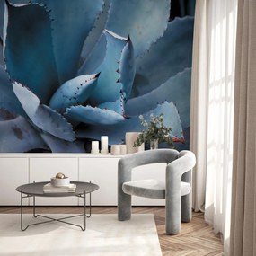 Fototapet - Agave (147x102 cm)