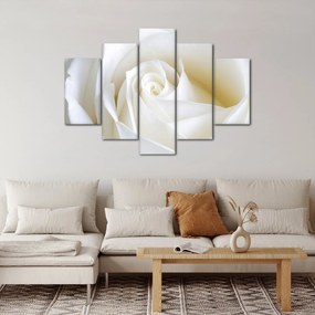 Tablou cu tandafir alb (150x105 cm)