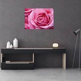 Tablou pe sticlă cu trandafir (70x50 cm)