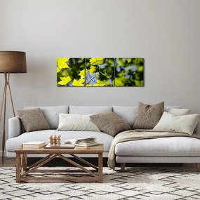 Tablou - frunze de arțar (cu ceas) (90x30 cm)