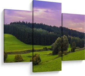 Tablou cu lunca (90x60 cm)