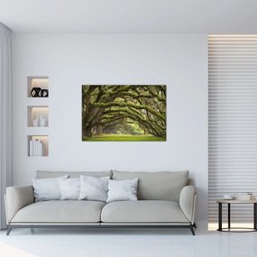 Tablou - Oaks Avenue, Charleston, Carolina de Sud, SUA (90x60 cm)