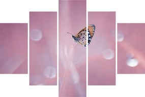 Tablou - Fluturele (150x105 cm)