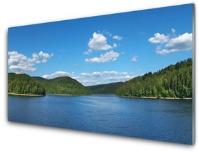 Tablouri acrilice Lake Forest Peisaj verde albastru