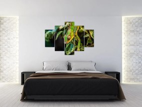 Tablou cu cameleon (150x105 cm)