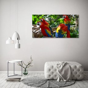 Tablou sticlă acrilică Papagali macaws