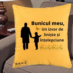 Cadou pentru Bunic - Perna Personalizata Bunicul Meu Izvor de Liniste cu Fluture si Baietel, 40x40 cm, Galben, Husa Detasabila, Perna Inclusa, BEKZ®