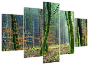 Tablou cu pădure (150x105 cm)