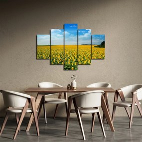 Tablou - câmp cu floarea soarelui (150x105 cm)