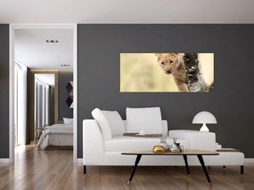 Tablou cu pui de leu (120x50 cm)
