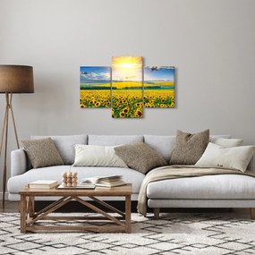 Tablou - Câmp cu floarea soarelui (90x60 cm)