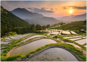 Tablou - Terase de orez (70x50 cm)