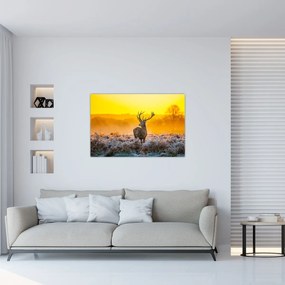 Tablou - Cerb la răsăritul soarelui (90x60 cm)