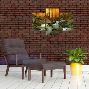 Tablou - Pădure (90x60 cm)