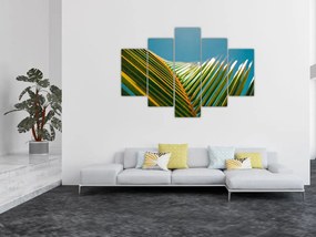 Tablou - Frunze de palmier (150x105 cm)