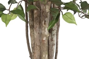 Arbore decorativ tip ficus, stil natural interior, culoare verde, din lemn și material decorativ, „Ficus Green”
