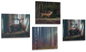 Set tablouri farmecul animalelor din pădure