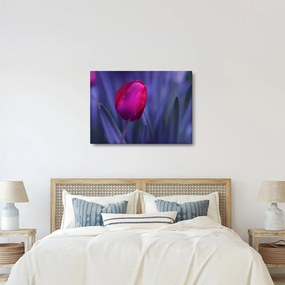 Tablou mugure de lalea (70x50 cm)