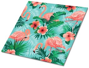 Plăcile de vinil Flamingos