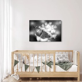 Tablou - Detailu cu fluture care polenizează floare (90x60 cm)