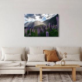 Tablou - scenariu cu flori de Lupin (90x60 cm)