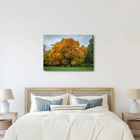Tablou pe sticlă cu copac (70x50 cm)