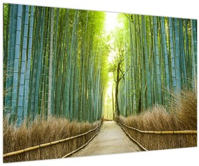 Tablou - Strada cu bambuși (90x60 cm)
