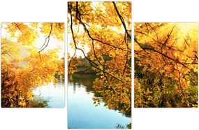 Tablou - Copac de toamnă (90x60 cm)