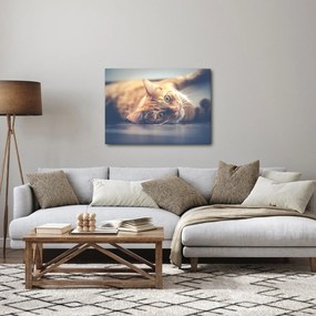 Tablou - Pisici pe podea (70x50 cm)
