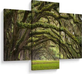 Tablou - Oaks Avenue, Charleston, Carolina de Sud, SUA (90x60 cm)