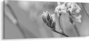 Tablou - Floare înflorită (120x50 cm)