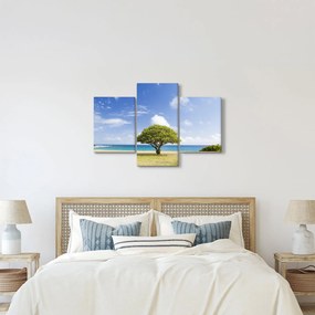Tablou plaja cu copac (90x60 cm)