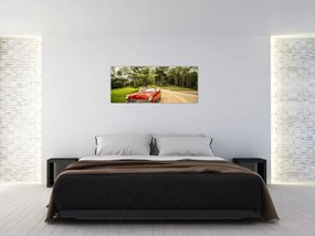 Tablou - mașina veteran în natură (120x50 cm)