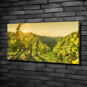Print pe canvas Vie
