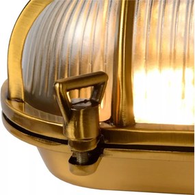 Aplică de exterior Lucide 11891/20/02 DUDLEY 1xE27/40W/230V IP65