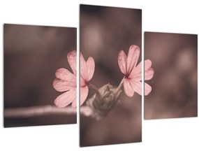 Tablou cu floare roz (90x60 cm)