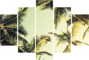 Tablou - Palmieri de cocos (150x105 cm)