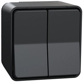 Intrerupator dublu cap scara Schneider Mureva, antracit, 10A, IP55