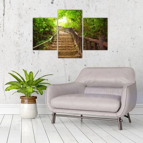Tablou - Scări în natură (90x60 cm)