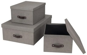 Cutii de depozitare 3 buc. cu capac Inge – Bigso Box of Sweden