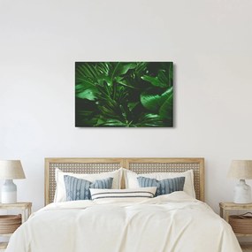 Tablou - Frunze de palmier (90x60 cm)