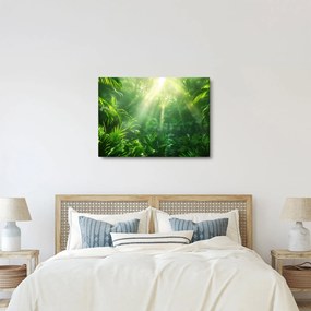 Tablou - Pădurea tropicală (70x50 cm)