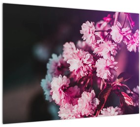 Tablou cu florile copacilor (70x50 cm), în 40 de alte dimensiuni noi